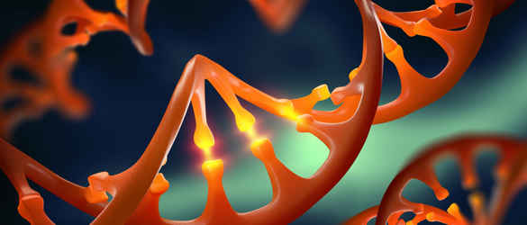 DNA strands