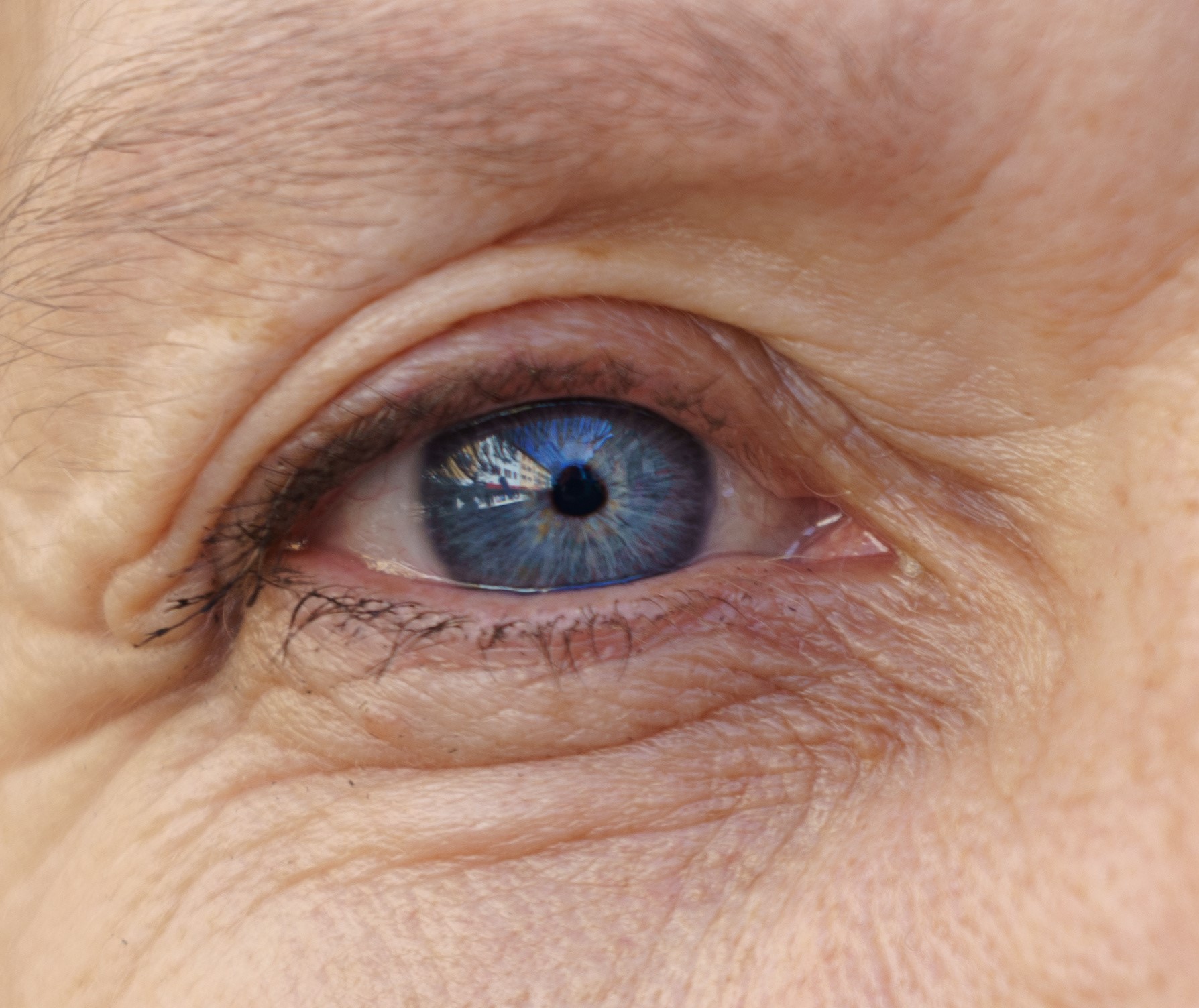 Older blue eyes close up