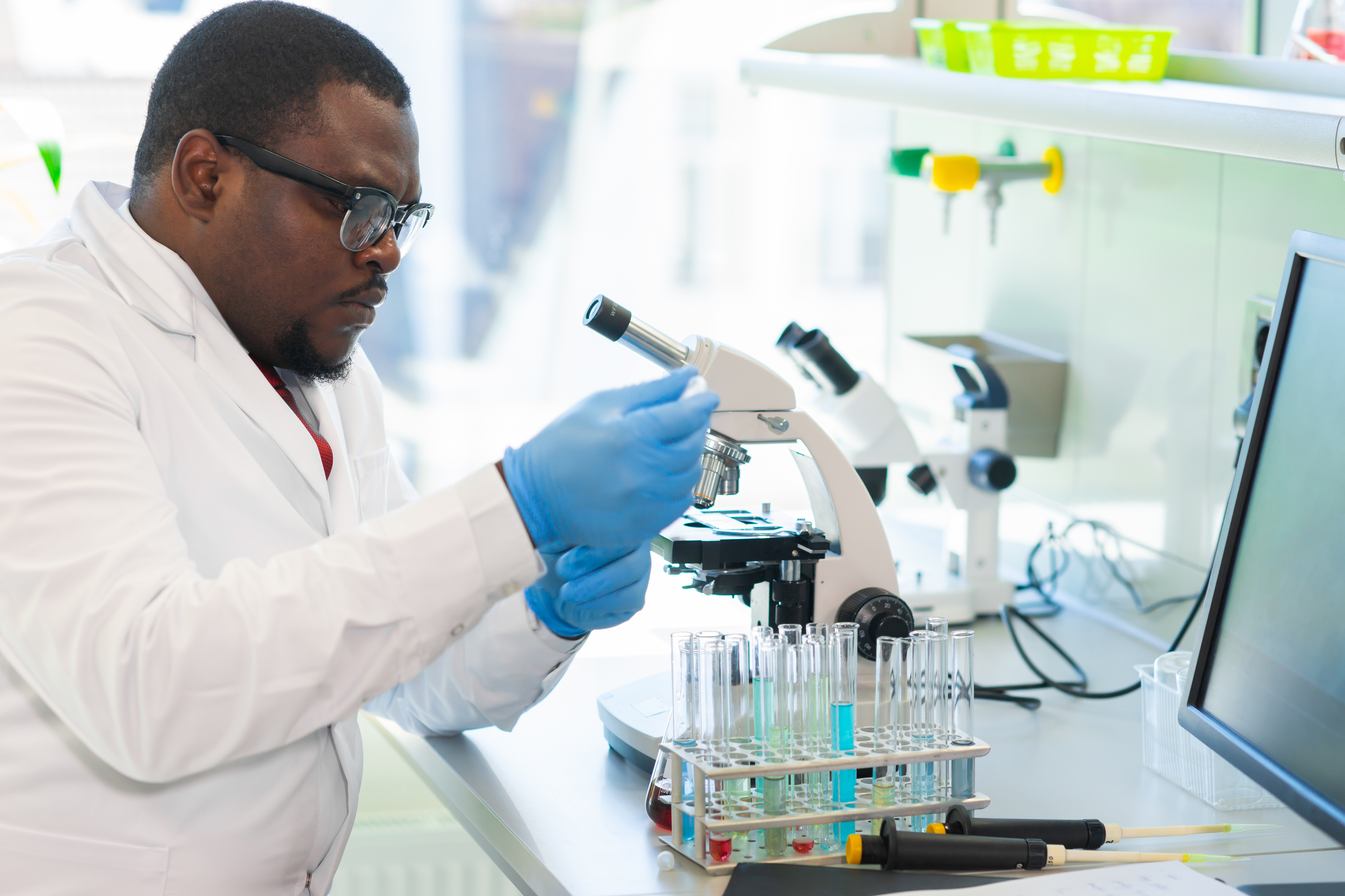 Researcher studying