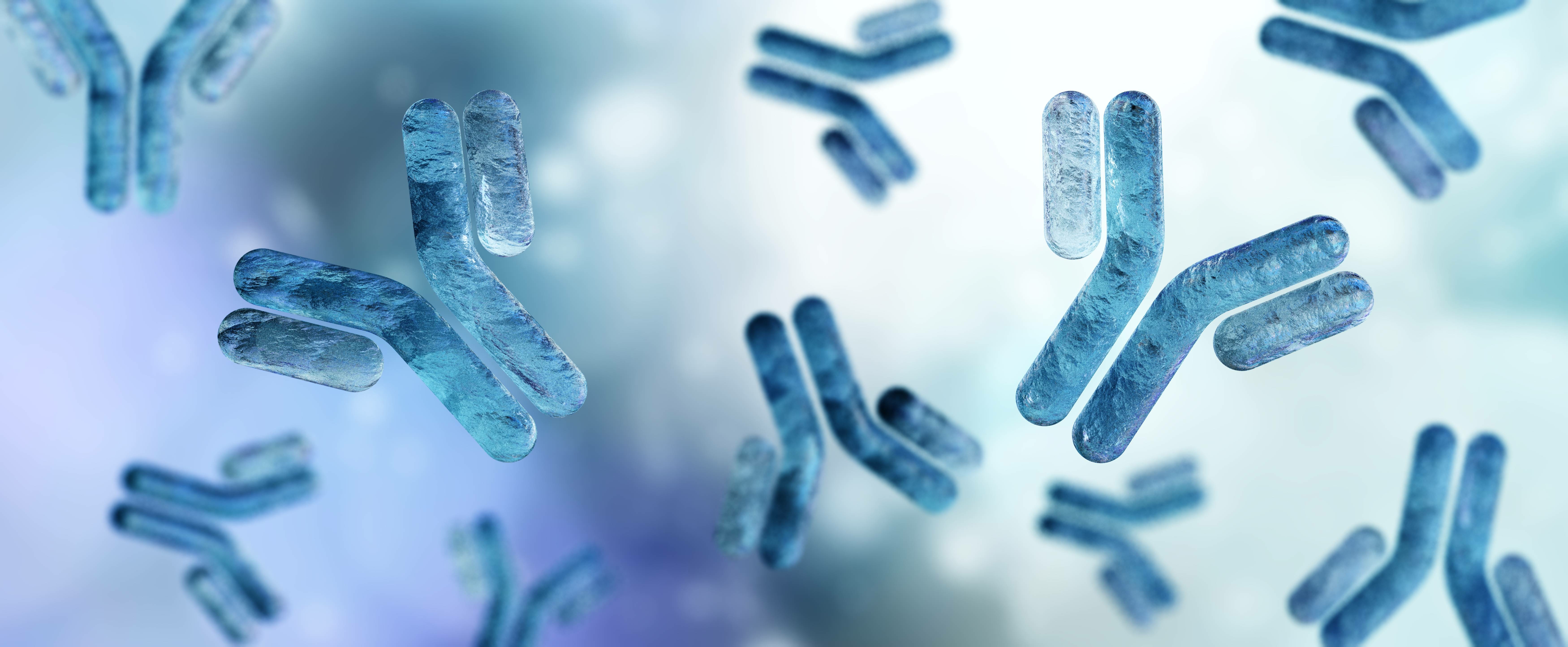 Antibodies close up