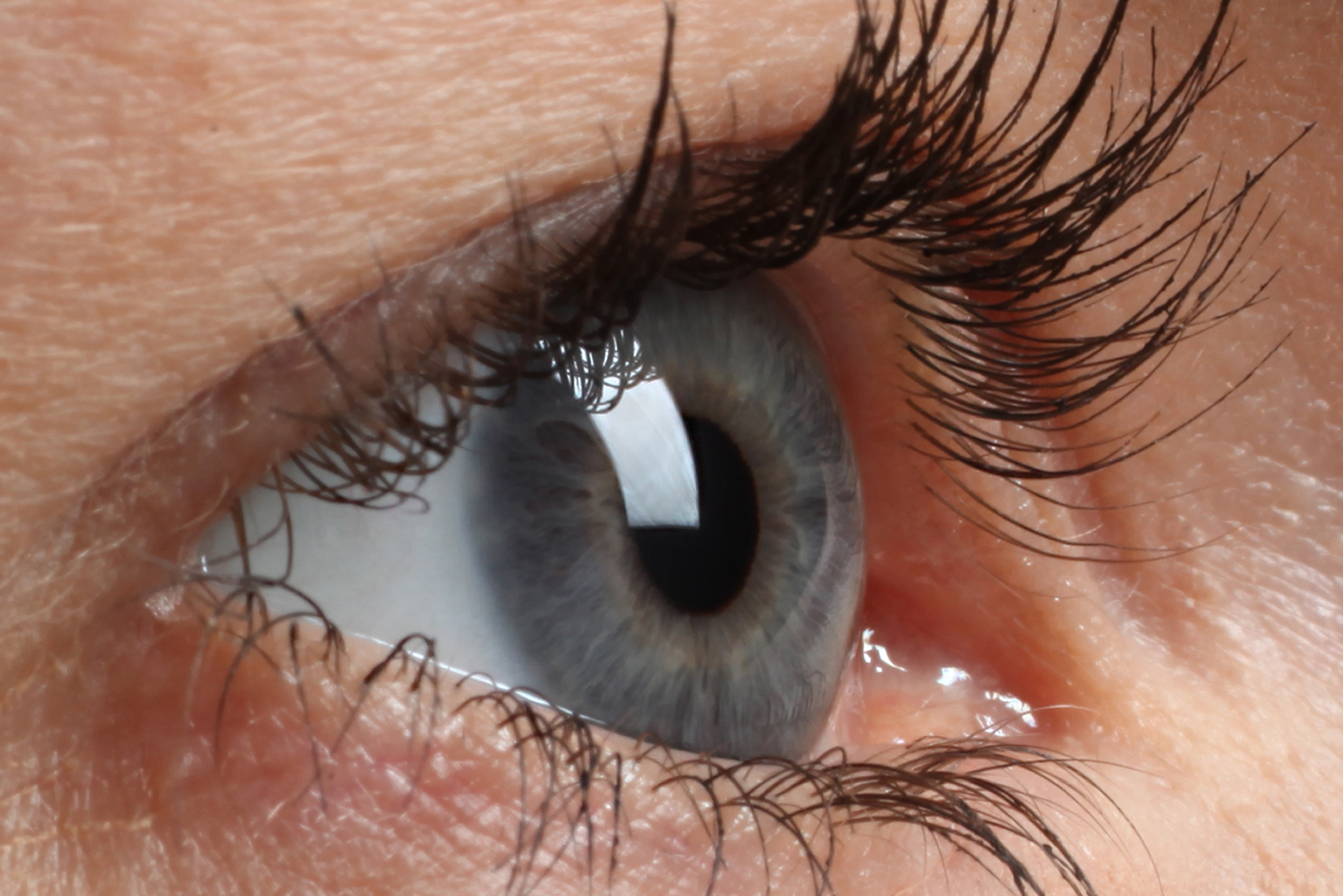 Close up blue eye