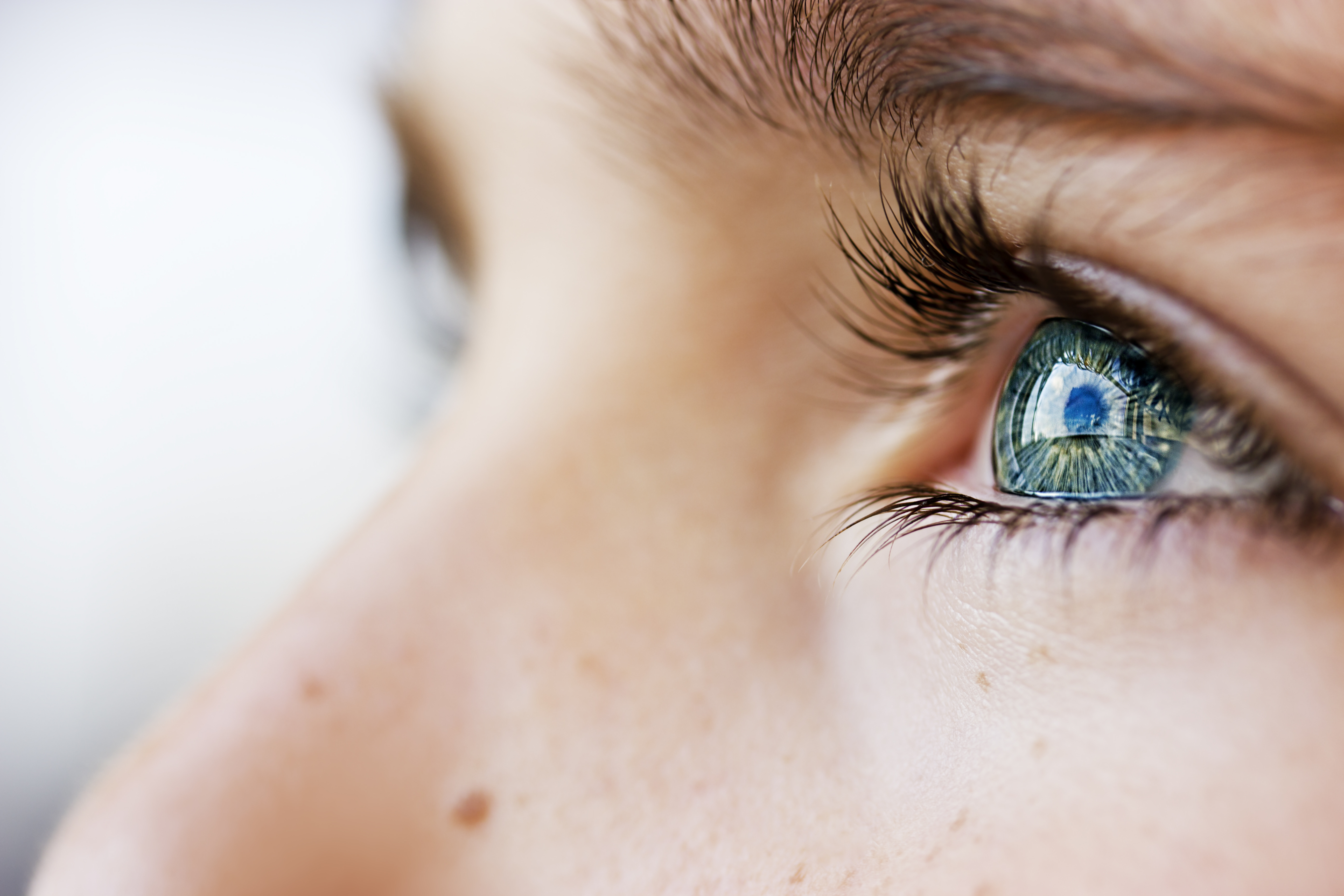 Closeup eye